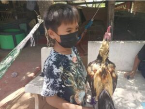 คนมาขอซื้อก็ไม่ขาย เอ็นดู