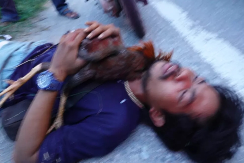 ฝังแล้ว องค์บาก ไก่ชนลูกรัก