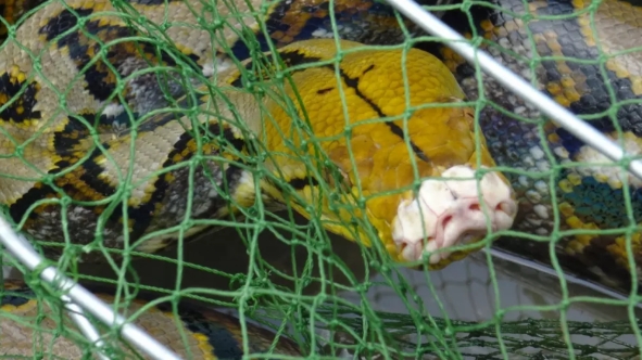 เจ้าของฟาร์มไก่