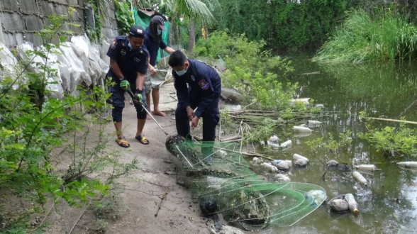 เจ้าของฟาร์มไก่