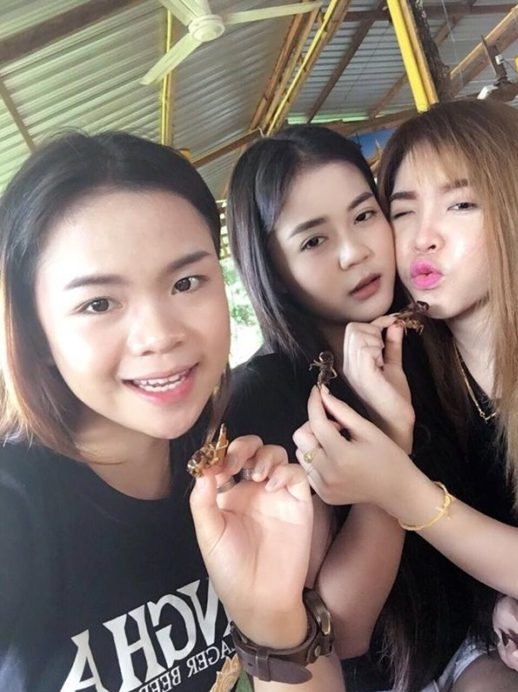 เนสกาแฟ
