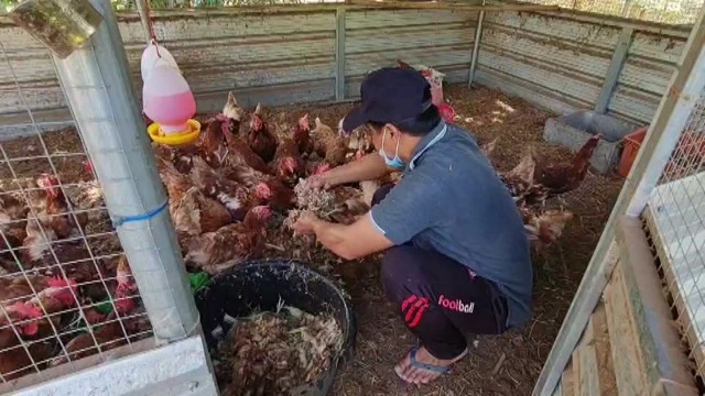 เจ้าอาวาสวัดอินทาราม พายเรือเก็บกระทง