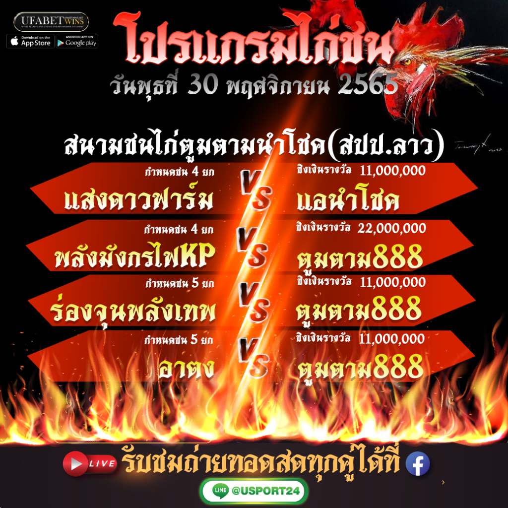 โปรมแกรมไก่ชน