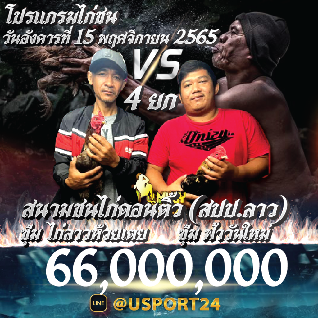 โปรแกรมไก่ชน