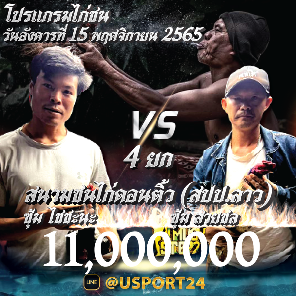 โปรแกรมไก่ชน