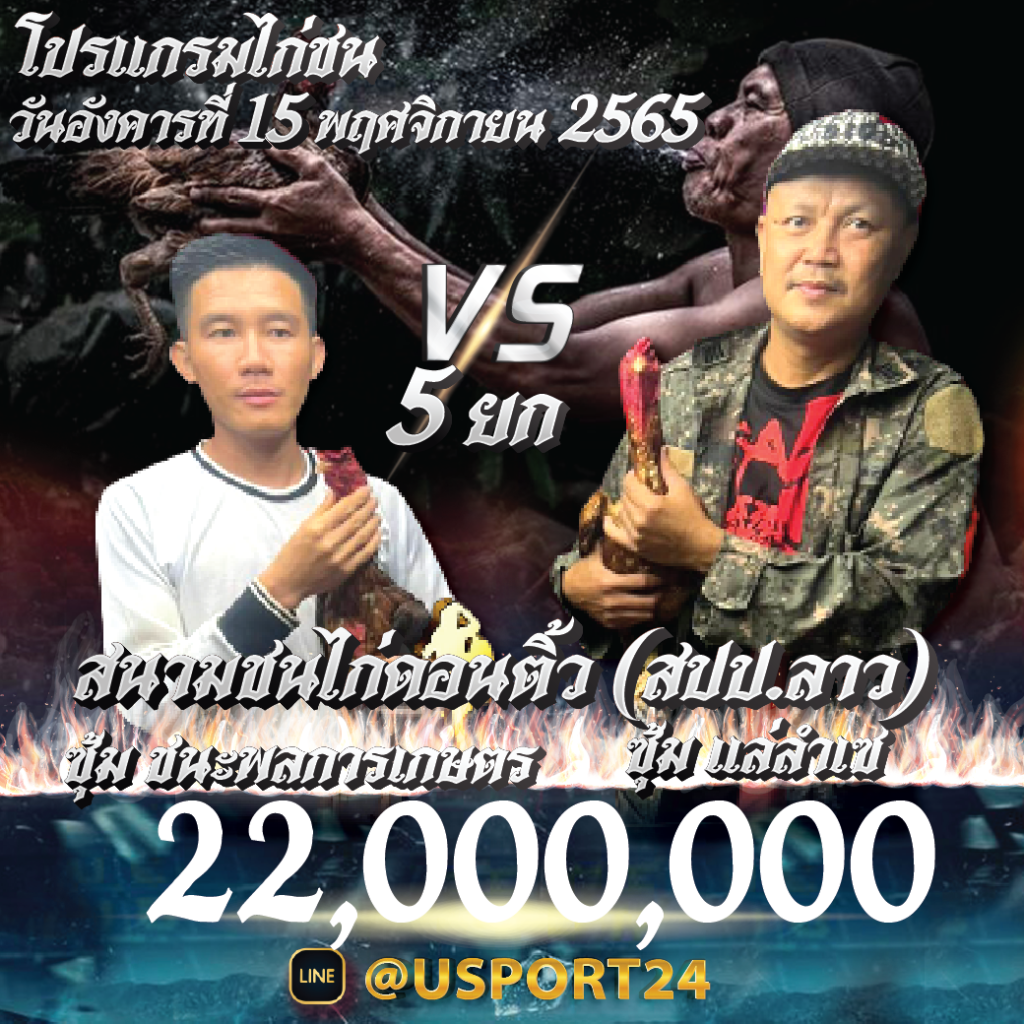 โปรแกรมไก่ชน