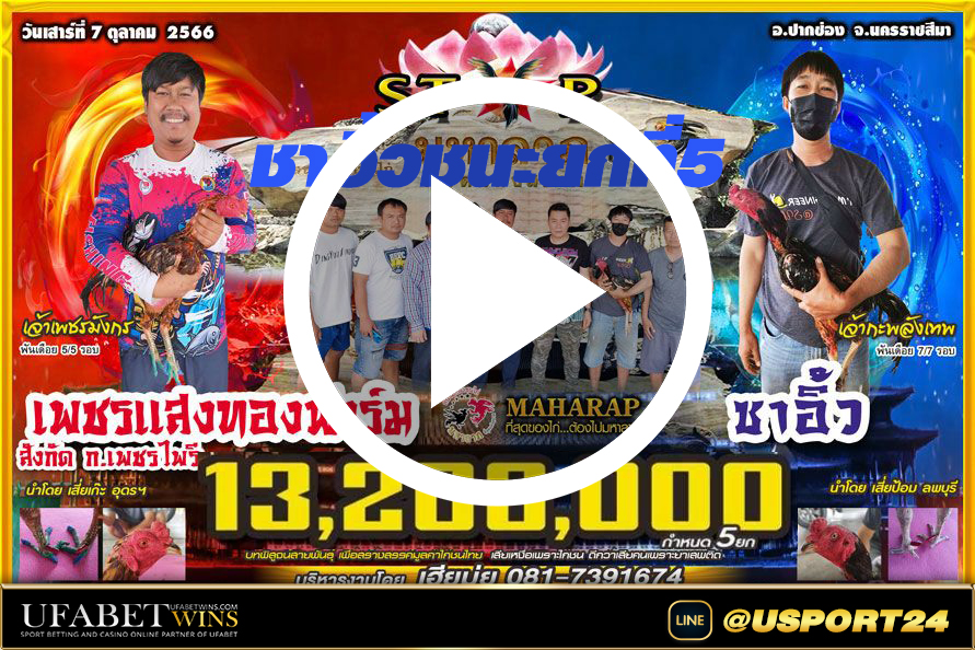 ซาออิ้ว(เชิง)VS(เชิง)เพชรแสงทองฟาร์มชิงเงิน13ล้าน สนามชนไก่มหาลาภ