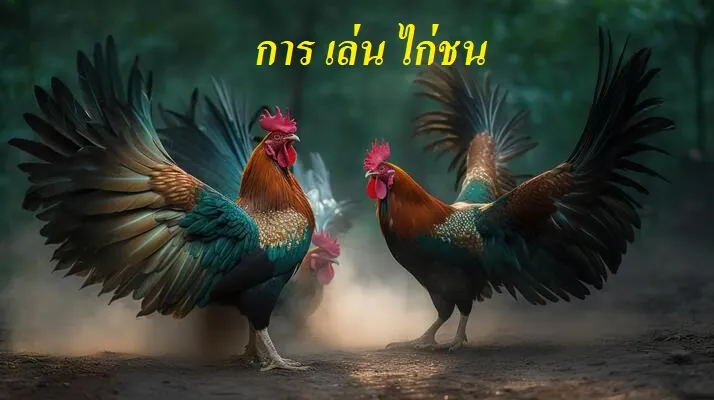 การ เล่น ไก่ชน