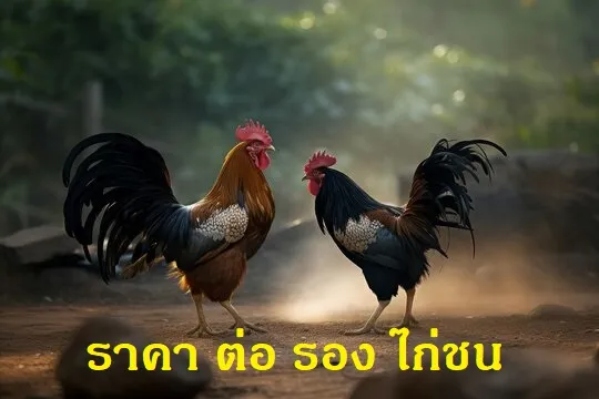 ราคา ต่อ รอง ไก่ชน