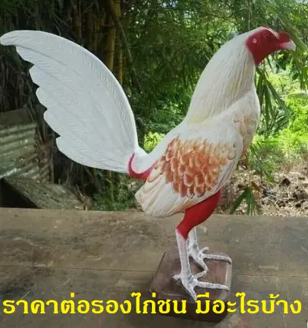 ราคาต่อรองไก่ชน มีอะไรบ้าง