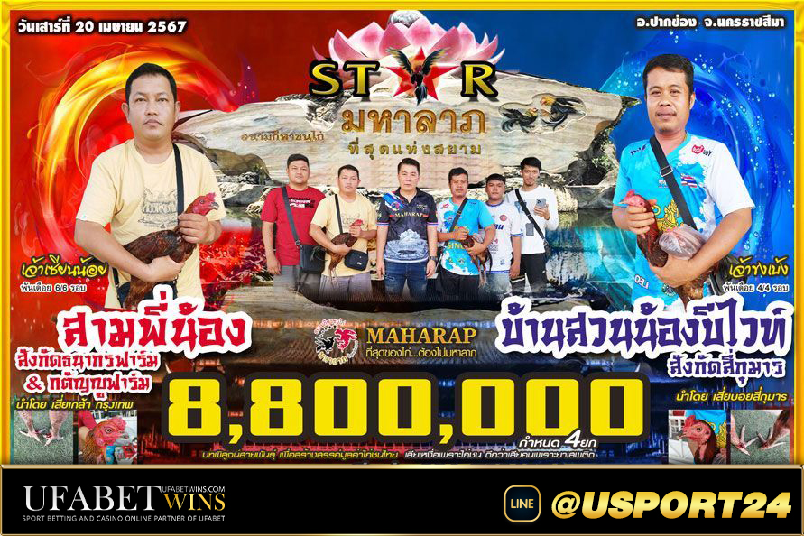 ไก่ชนคู่เอกสนามชนไก่มหาลาภ สามพี่น้องVSบ้านสวนน้องบี