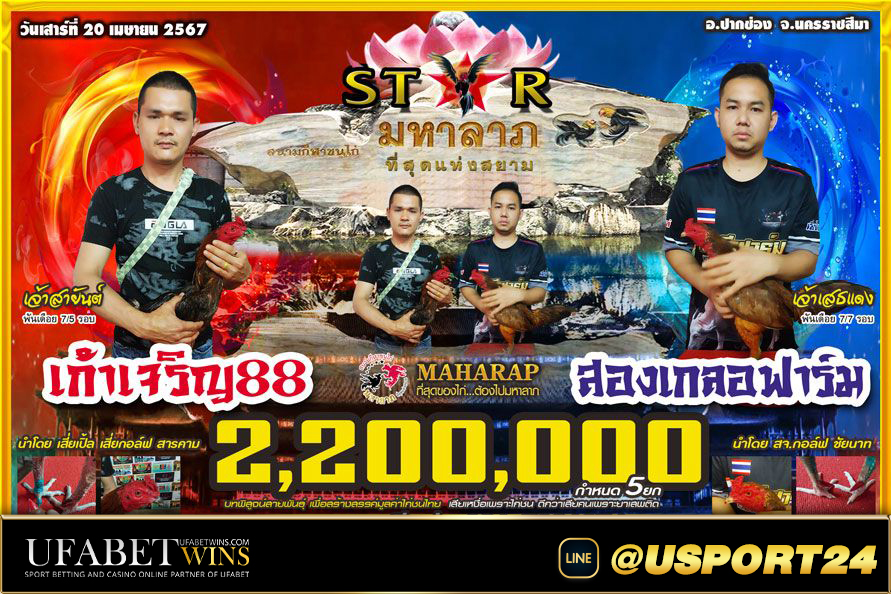 ไก่ชนคู่เอกสนามชนไก่มหาลาภ สามพี่น้องVSบ้านสวนน้องบี