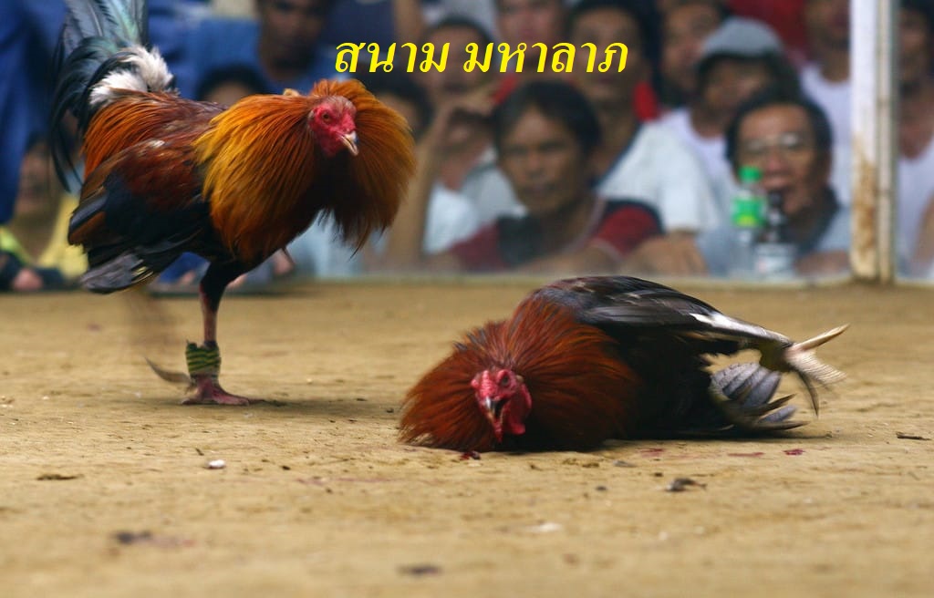 สนาม มหาลาภ