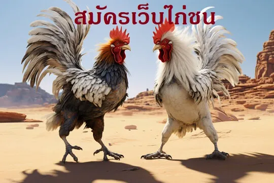 สมัครเว็บไก่ชน