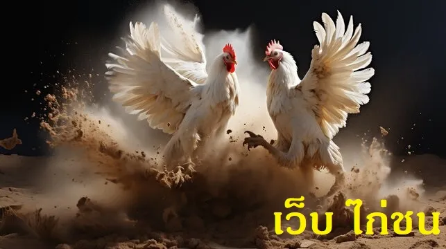เว็บ ไก่ชน