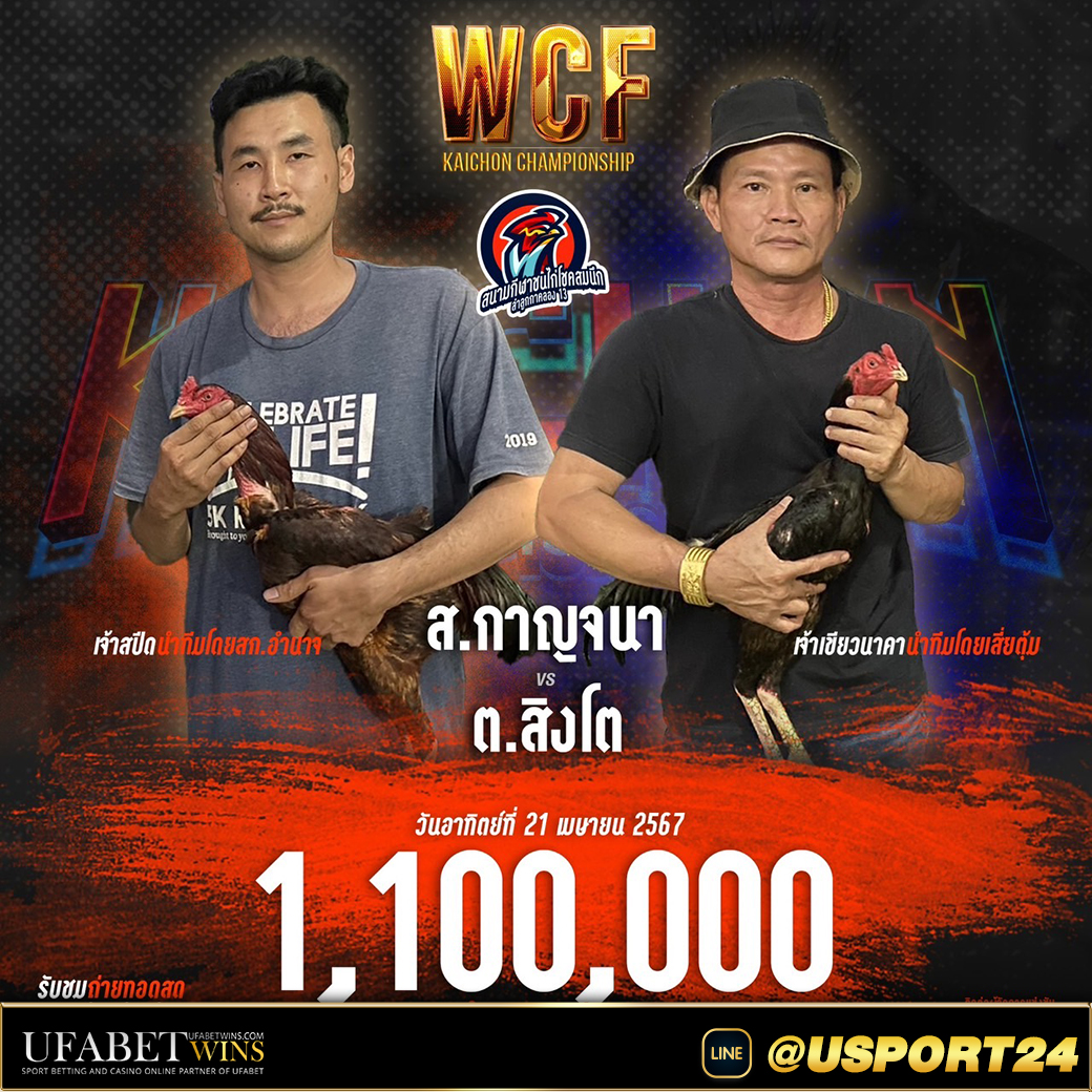 ต.สิงโตVSส.กาญจนา สนามชนไก่โชคสมนึกล่าสุด