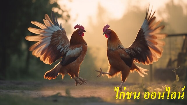 ไก่ชน ออนไลน์