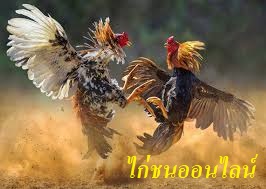 ไก่ชนออนไลน์