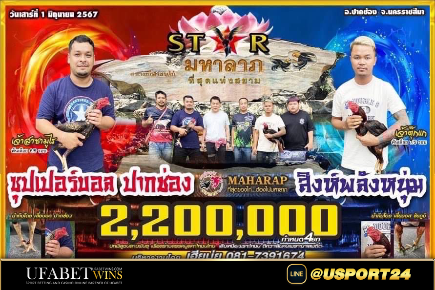 สนาชนไก่มหาลาภเสาร์นี้ คู่เอกหนุ่มลานข้าวVSหนุ่มโรงหิน