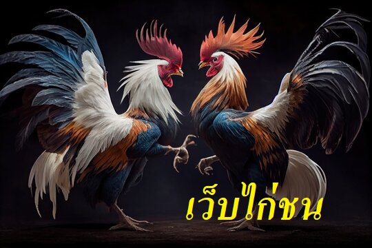 เว็บไก่ชน
