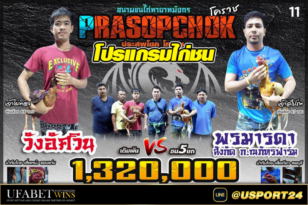 สนามชนไก่ทายาทมังกรคู่เอก วังอัศวินVSพรมารดา