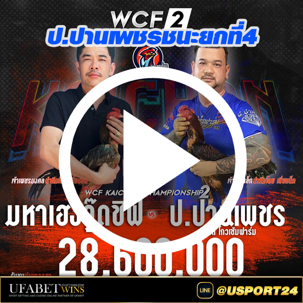 ไก่ชนคู่เอก มหาเฮงวู๊ดชิฟVSปานเพชร(เจ้าแดงเล็ก)