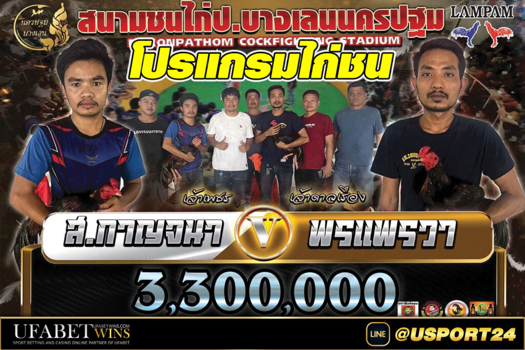 สนามชนไก่บางเลนนครปฐม คู่เอกส.กาญจนาVSพรแพรวา