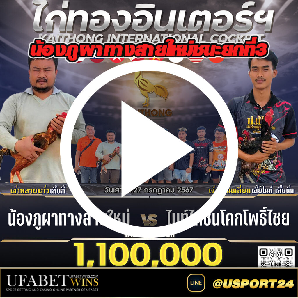น้องภูผาทางสายใหม่VSไนท์ไก่ชน สนามไก่ทองอินเตอร์ล่าสุด