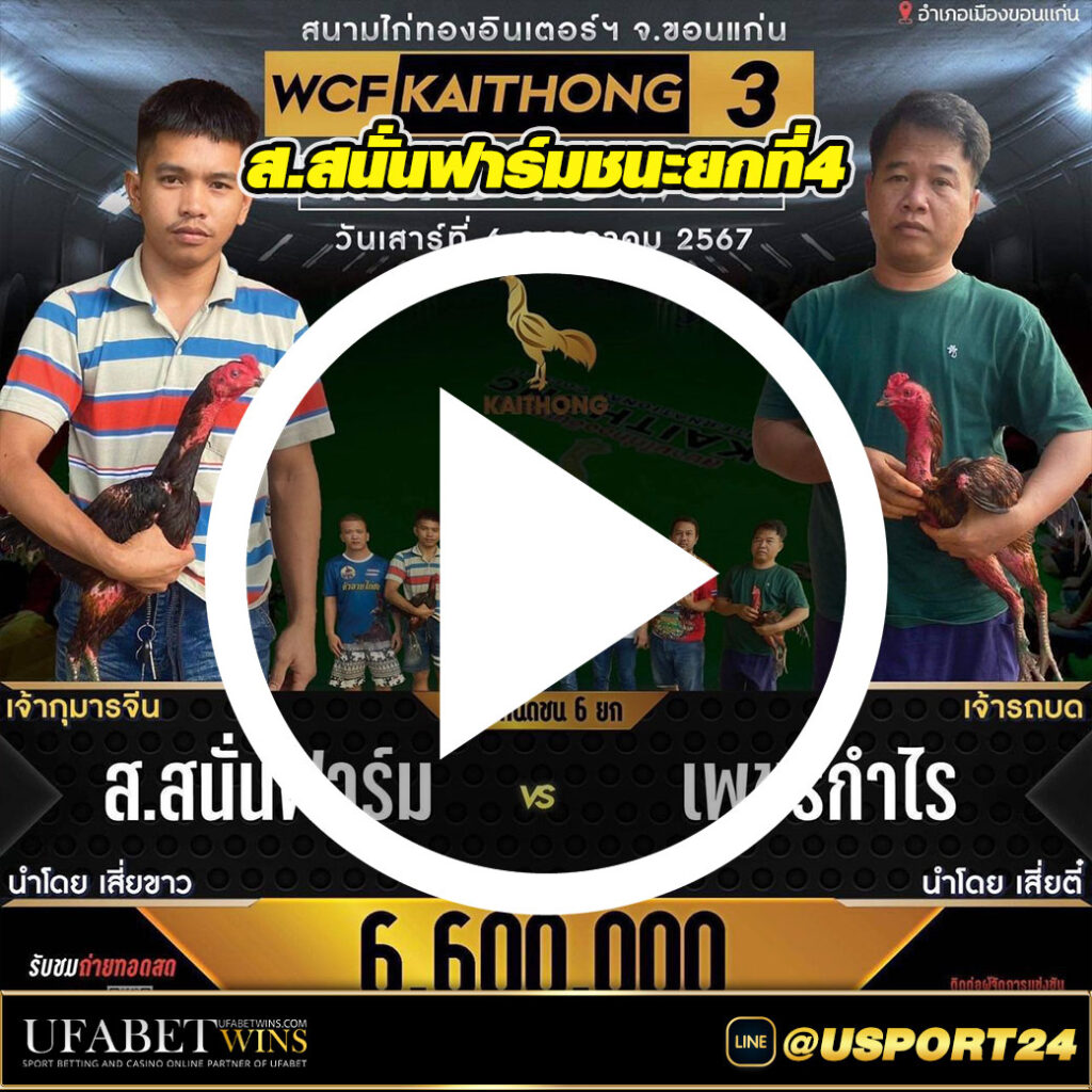 สนามไก่ทองอินเตอร์ล่าสุด สนั่นฟาร์มVSเพชรกำไร