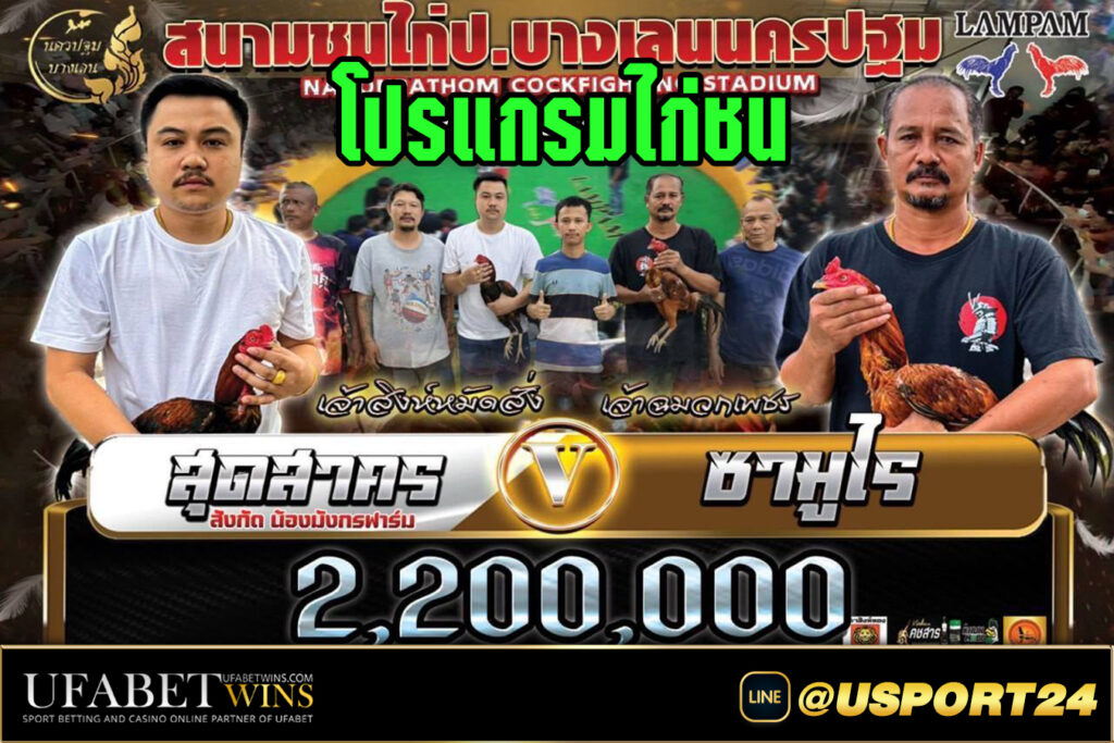 สนามชนไก่บางเลนนครปฐม คู่เอกสุดสาครVSซามูไร