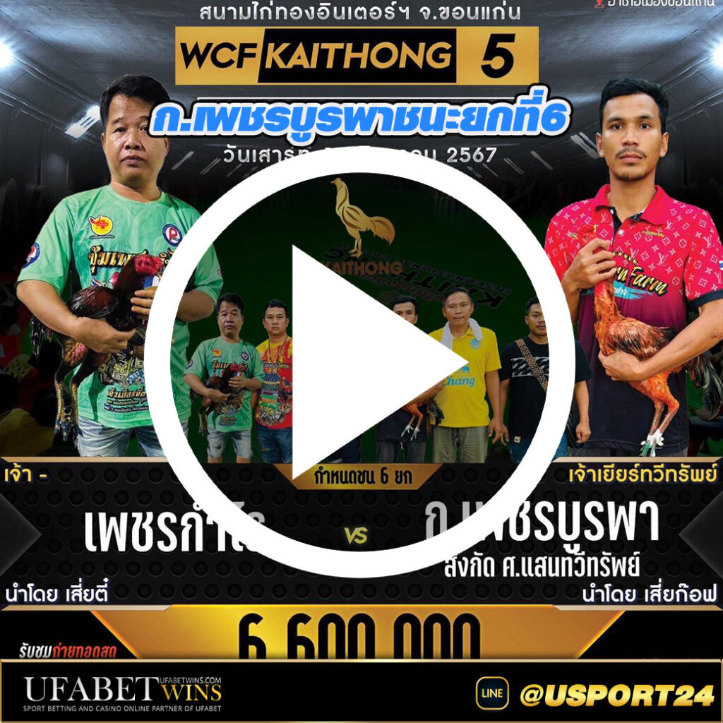 เพชรกำไรVSเพชรบูรพา ไก่ทองอินเตอร์ล่าสุด