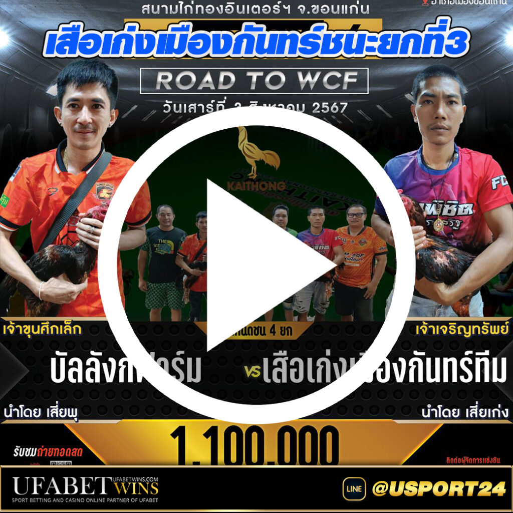สนามไก่ทองอินเตอร์ คู่ระหว่างบัลลังฟาร์มVSเสือเก่งเมืองกันทร์ทีม
