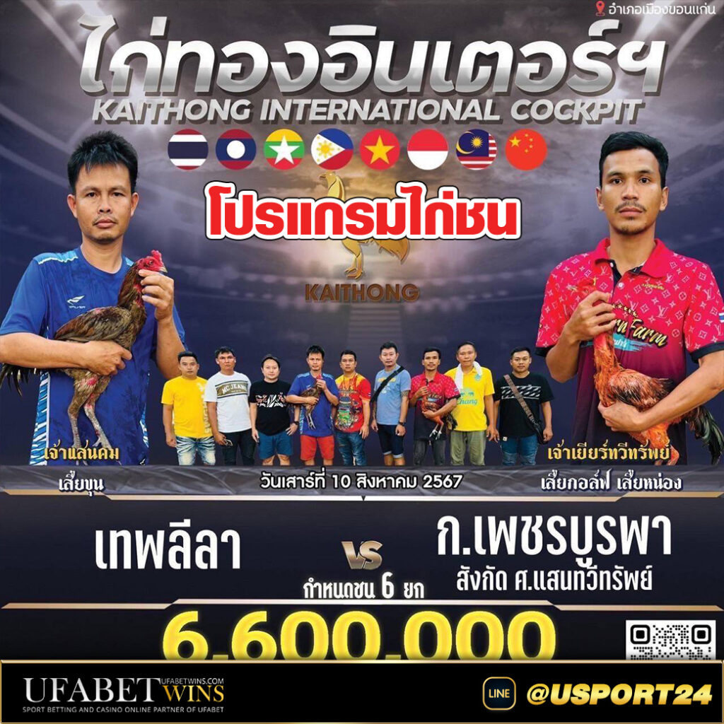 สนามไก่ชนไก่ทองอินเตอร์(ขอนแก่น) เสาร์ที่10สิงหาคม2567