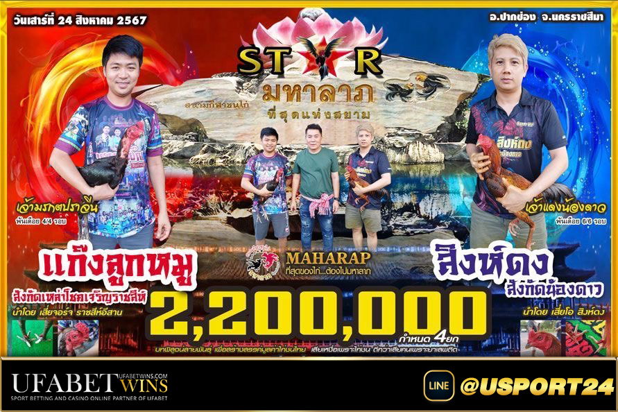 สนามชนไก่มหาลาภ(ปากช่อง) เสาร์ที่24สิงหาคม2567
