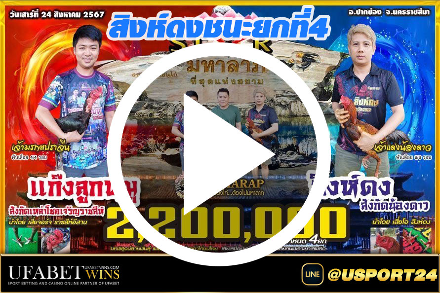 แก๊งลูกหมูVSสิงห์ดง สนามชนไก่มหาลาภ