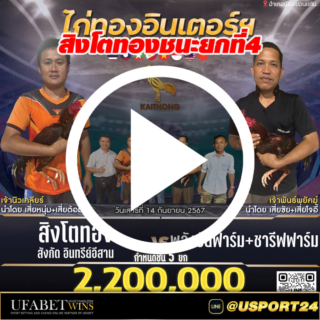 สิงโตทองVSพลังชัยฟาร์ม สนามไก่ทองอินเตอร์ล่าสุด