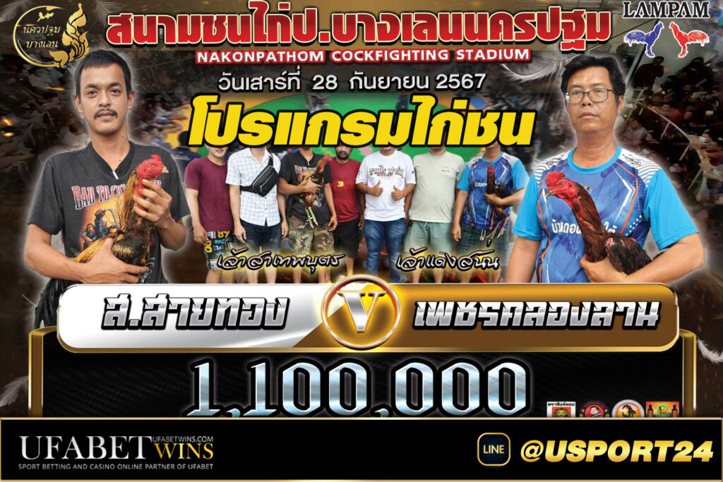 สนามชนไก่บางเลนนครปฐมเสาร์ที่28กันยายน2567