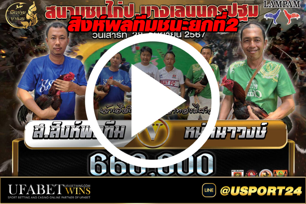 สิงห์พลทีม(เจ้าเสือใบ) สนามชนไก่บางเลนล่าสุด