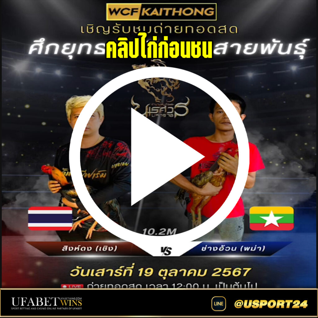 สิงห์ดงVSช่างอ้วน คลิปไก่ชนไฟต์ล่าสุด