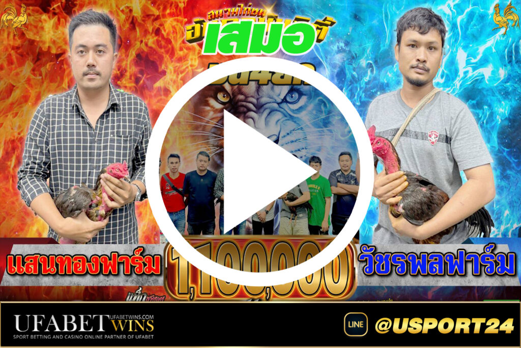 แสนทองฟาร์ม พบ วัชรพลฟาร์ม สนามไก่อันดามันซิตี้ล่าสุด