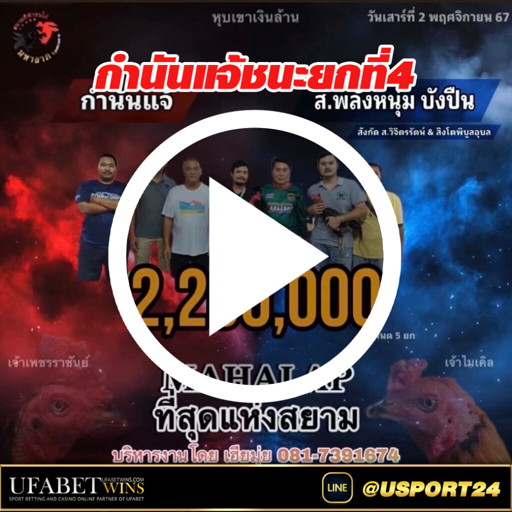 กำนันแจ้(เจ้าเพชรราชันย์) สนามชนไก่มหาลาภล่าสุด