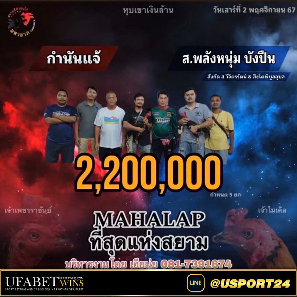 กำนันแจ้(เจ้าเพชรราชันย์) สนามชนไก่มหาลาภล่าสุด