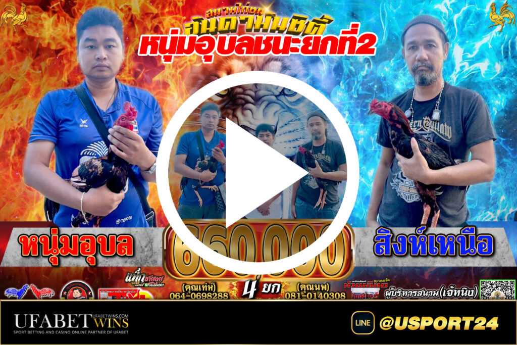 หนุ่มอุบลชนะสิงห์เหนือ สนามชนไก่อันดามันซิตี้ล่าสุด