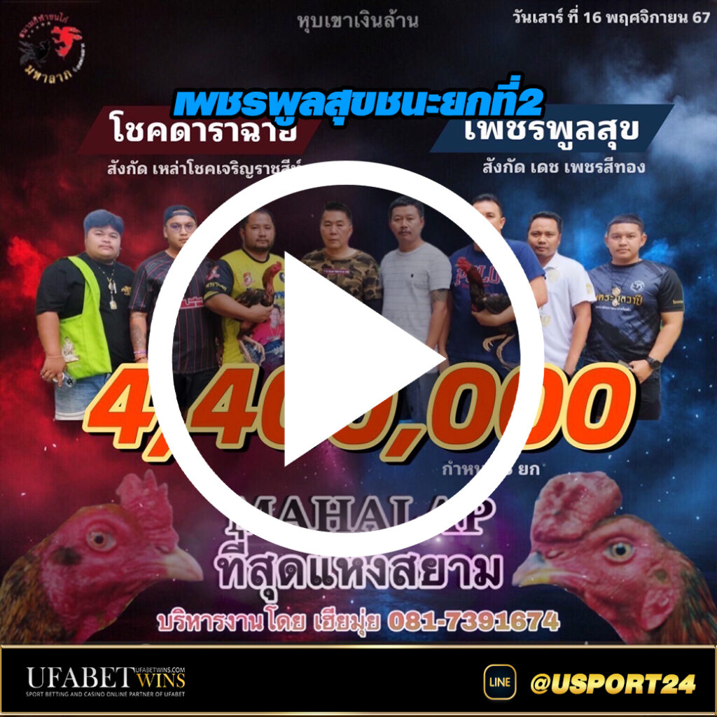 โชคดาราฉายแพ้เพชรพูลสุขล่าสุด