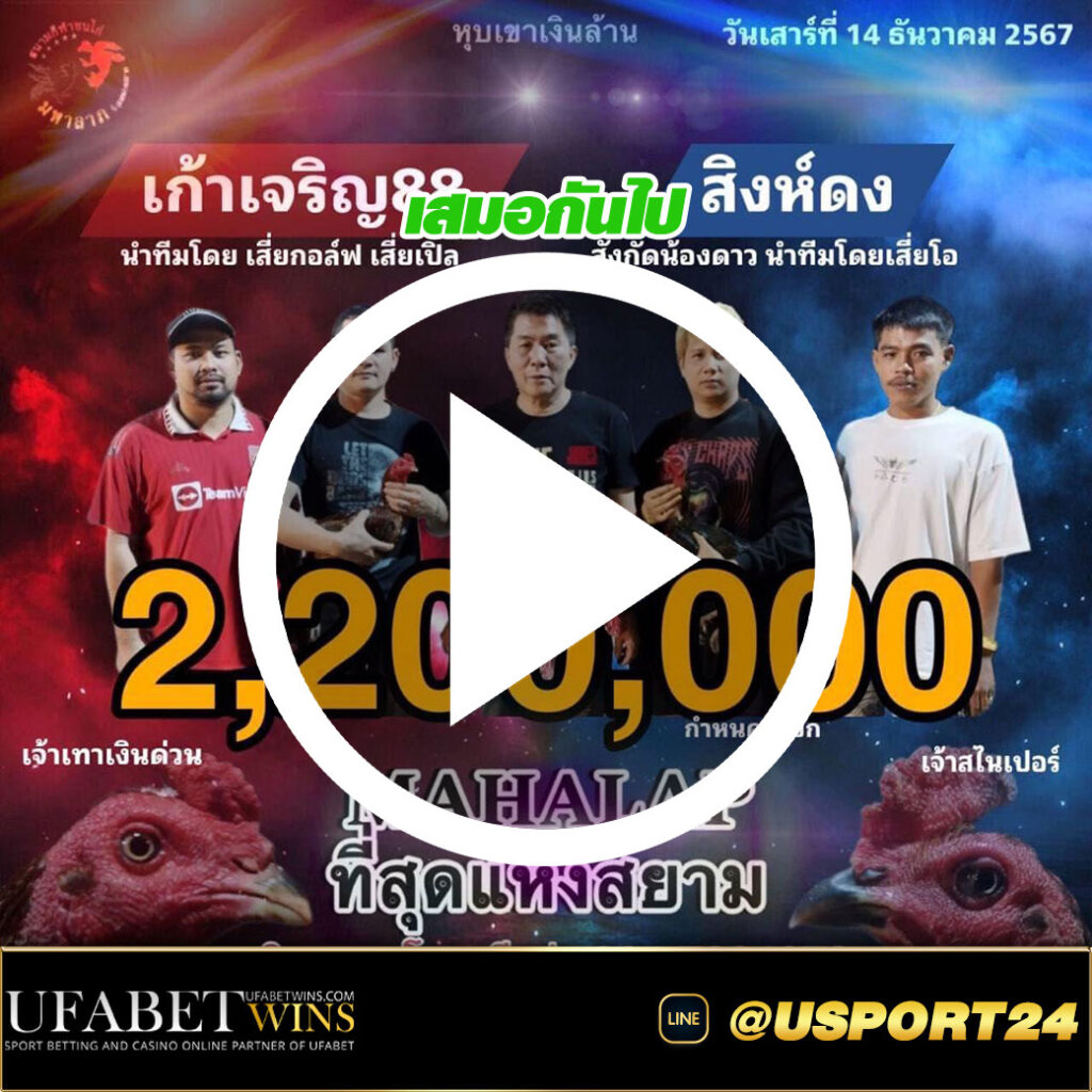 เก้าเจริญ88VSสิงห์ดงฟาร์ม สนามชนไก่มหาลาภปากช่อง