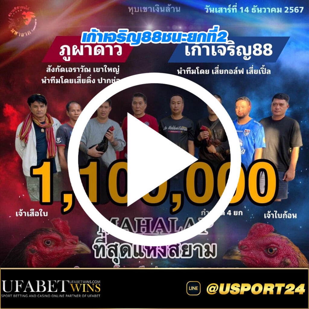 ภูผาดาวVSเก้าเจริญ88 สนามชนไก่มหาลาภ