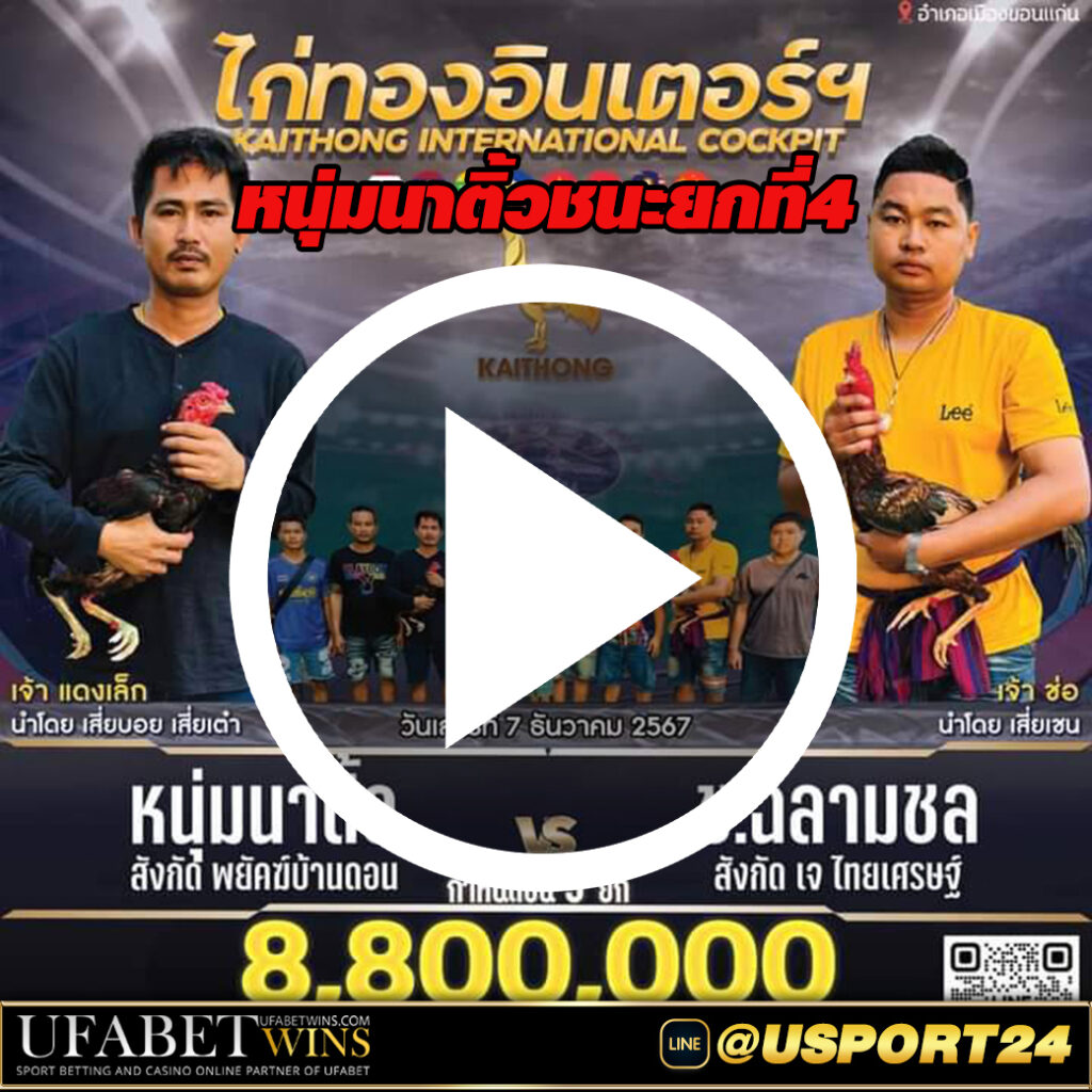 หนุ่มนาติ้วVSฉลามชน สนามชนไก่ไก่ทองอินเตอร์ล่าสุด