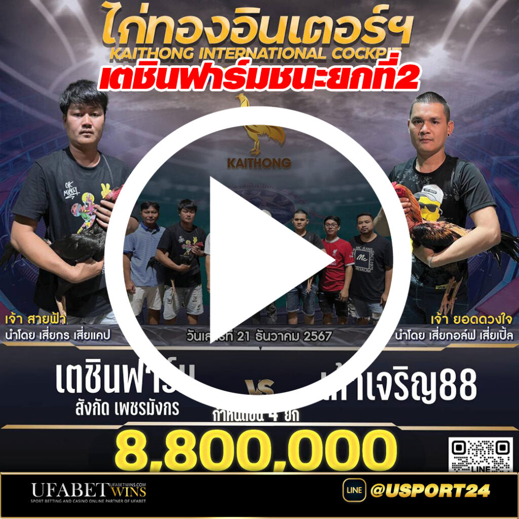 เตชินฟาร์ม(เจ้าสายฟ้า)VSเก้าเจริญ88 สนามไก่ทองอินเตอร์ล่าสุด