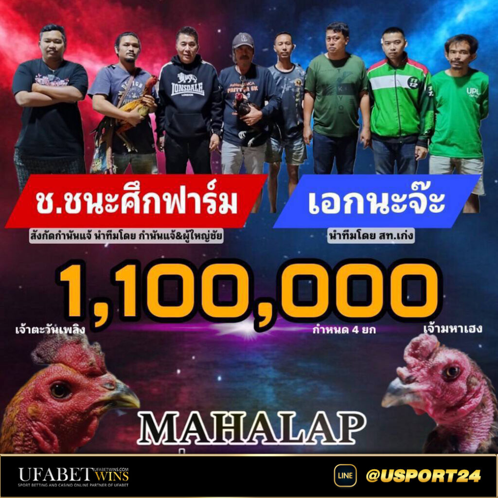 โปรแกรมไก่ชนสนามชนไก่มหาลาภ เสาร์ที่11มกราคม2568