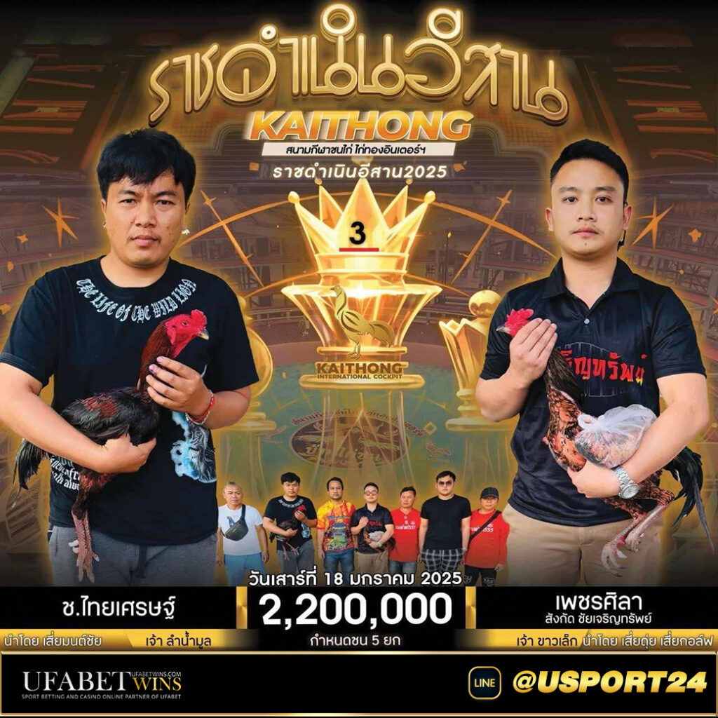 ไก่ชน สนามไก่ทองอินเตอร์เสาร์ที่18มกราคม2568
